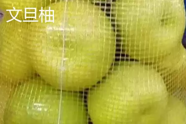 蜜柚对比问题红柚更美观口感佳,黄金蜜柚和红柚对比,差异在哪呢?插图4 蜜柚对比问题红柚更美观口感佳,黄金蜜柚和红柚对比,差异在哪呢?插图4