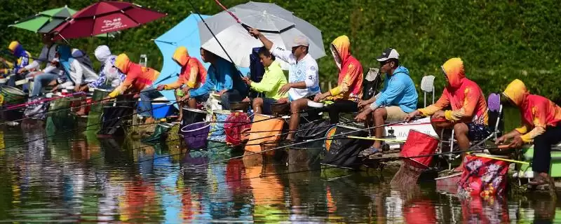 黑坑竿和普通鱼竿有何区别,黑坑竿和普通鱼竿最大区别是硬度不同吗-会东网