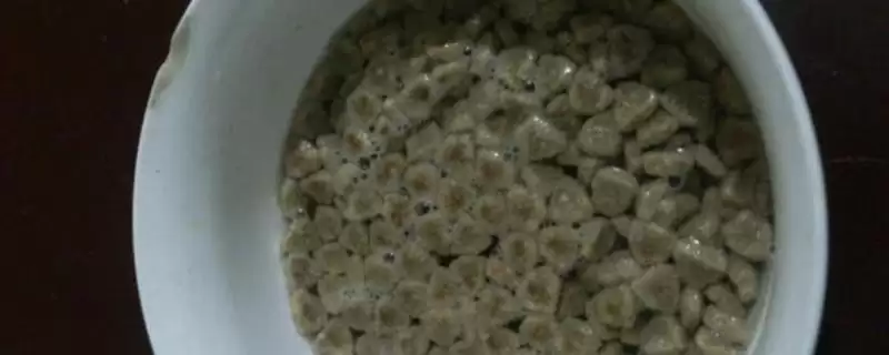 狗粮泡发5-6小时还能喂吗,狗粮泡发5-6小时再喂会影响狗狗健康吗-会东网