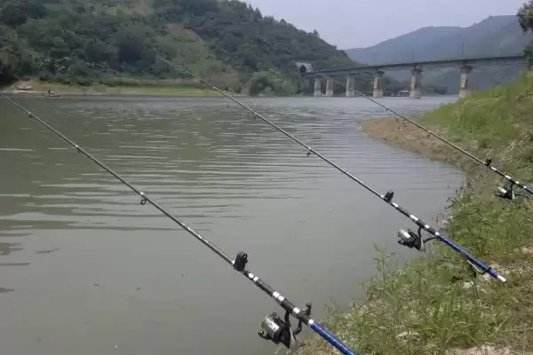 海竿是什么样的钓鱼工具,海竿泛指所有配有渔轮的鱼竿是定义吗插图1 海竿是什么样的钓鱼工具,海竿泛指所有配有渔轮的鱼竿是定义吗插图1