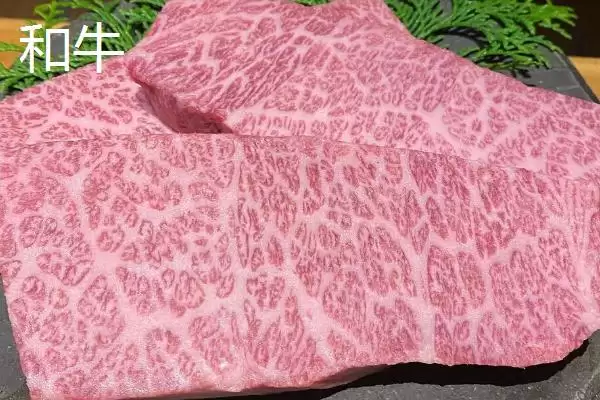 和牛和普通牛肉有何区别呢,和牛与普通牛肉在口感和肉质等有差异吗插图1