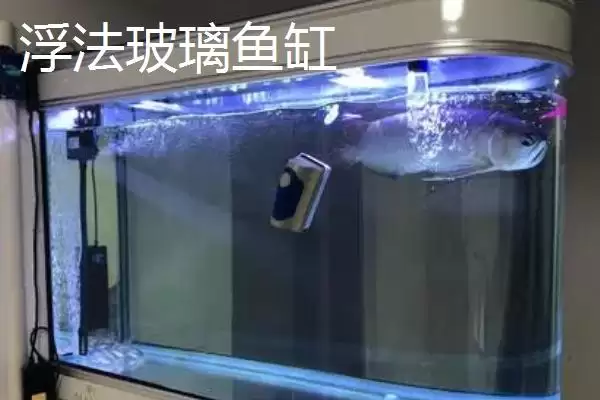 浮法玻璃鱼缸与超白 ,浮法玻璃鱼缸和超白鱼缸哪个更插图1
