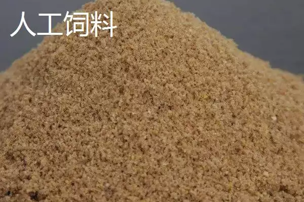 观赏鱼的饲料有哪些种类,观赏鱼饲料有天然和人工饵料两种吗插图4