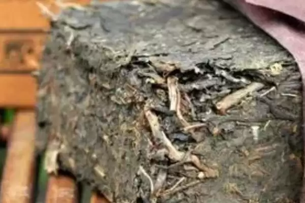 黑茶有哪些主要的品种呢,安化黑茶等是黑茶的主要品种类型吗插图2