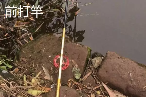 矶钓前打竿对比矶钓竿优势明显,矶钓竿和前打竿的实用性对比,是这样吗?插图2 矶钓前打竿对比矶钓竿优势明显,矶钓竿和前打竿的实用性对比,是这样吗?插图2