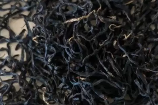 黑茶有哪些主要的品种呢,安化黑茶等是黑茶的主要品种类型吗插图6