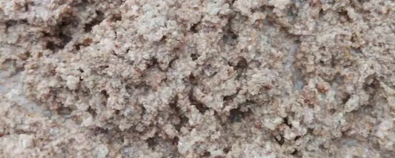 花生麸发酵问借助发酵剂真必要,花生麸怎么发酵，一般要借助发酵剂吗？-会东网
