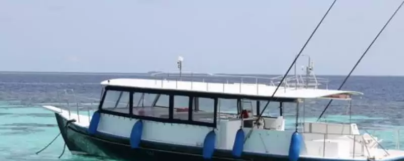 海钓的基本装备有哪些呢,海钓哪些基本装备是必不可少的呢-会东网