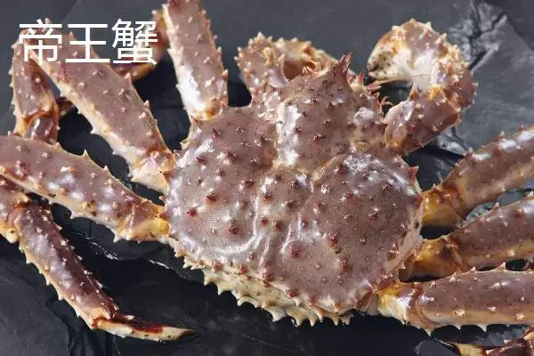 红毛蟹是什么种类的蟹呢,红毛蟹因体色呈红色而得名是这样吗插图4