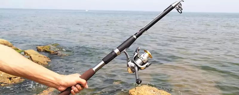 海竿是什么样的钓鱼工具,海竿泛指所有配有渔轮的鱼竿是定义吗插图 海竿是什么样的钓鱼工具,海竿泛指所有配有渔轮的鱼竿是定义吗插图