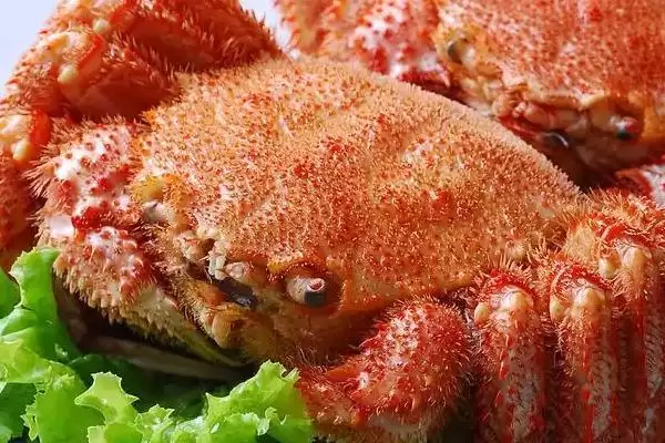 红毛蟹是什么种类的蟹呢,红毛蟹因体色呈红色而得名是这样吗插图2