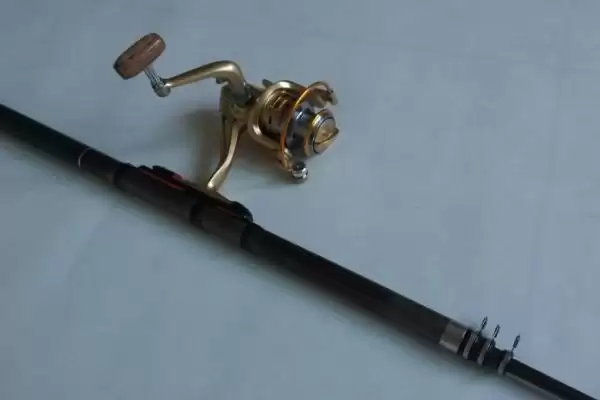 矶钓前打竿对比矶钓竿优势明显,矶钓竿和前打竿的实用性对比,是这样吗?插图6 矶钓前打竿对比矶钓竿优势明显,矶钓竿和前打竿的实用性对比,是这样吗?插图6