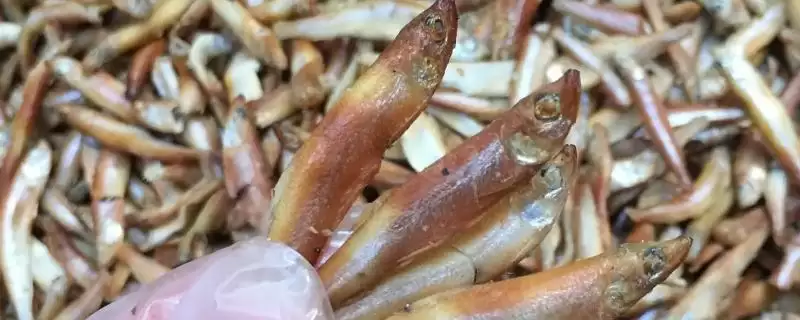 河北省安新县的特产是什么,白洋淀熏鱼是河北省安新县受喜爱特产吗-会东网