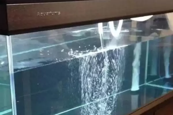 浮法玻璃鱼缸与超白 ,浮法玻璃鱼缸和超白鱼缸哪个更插图3