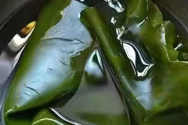 海带会起泡是何原因导致,海带起泡因多糖中蛋白质从破损截面溶出吗插图3