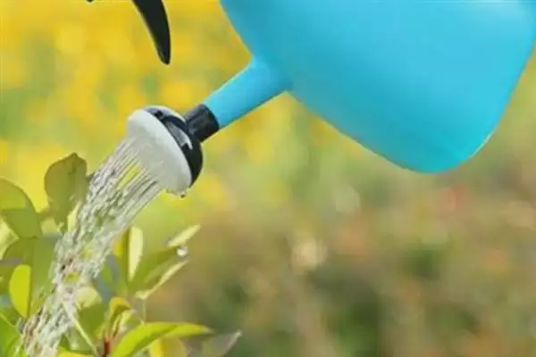 花椒水灭虫否真能除虫杀菌有效,花椒水能不能灭杀花盆中的害虫,效果如何?插图1 花椒水灭虫否真能除虫杀菌有效,花椒水能不能灭杀花盆中的害虫,效果如何?插图1