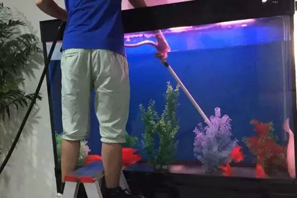 给鱼缸换水正确方法 ,给鱼缸换水的正确方法是怎样的插图1