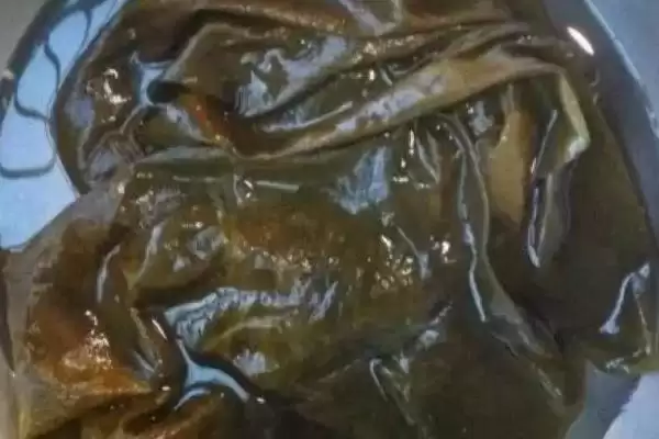 海带会起泡是何原因导致,海带起泡因多糖中蛋白质从破损截面溶出吗插图1
