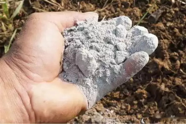 红薯地下害虫如何防治好呢,红薯地下害虫常见为地老虎等如何防治呢插图2