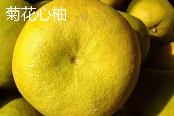 湖南张家界特产葛根粉为啥在当地出名,湖南张家界的特产葛根粉为何最为出名？插图3