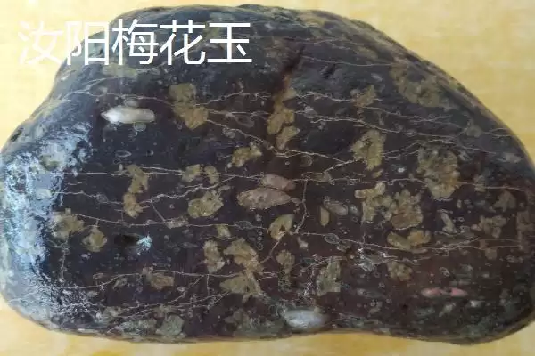 河南省汝阳县特产有啥介绍,河南省汝阳县是历史名酒杜康的发祥地吗插图6