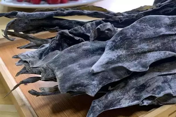 福建海带产地位置 ,福建海带的产地主要在哪些地插图2