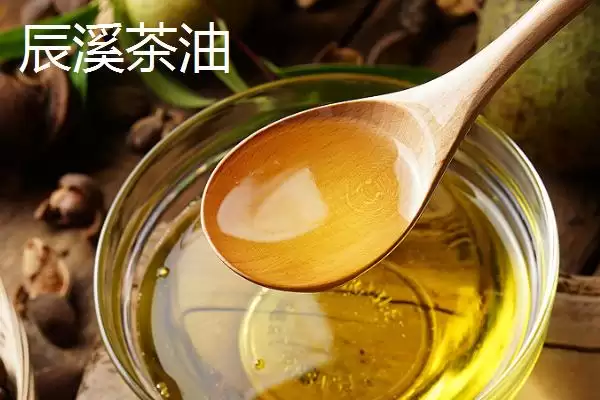 怀化辰溪特产油茶种植面积广吗,怀化辰溪的特产,当地油茶情况如何?插图2 怀化辰溪特产油茶种植面积广吗,怀化辰溪的特产,当地油茶情况如何?插图2