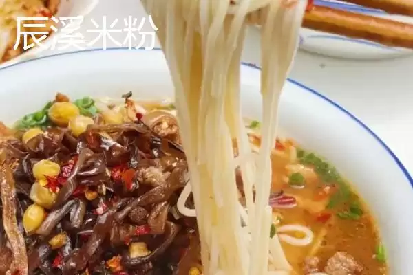 怀化辰溪特产油茶种植面积广吗,怀化辰溪的特产,当地油茶情况如何?插图5 怀化辰溪特产油茶种植面积广吗,怀化辰溪的特产,当地油茶情况如何?插图5
