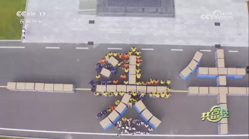 央视呈现:认养一头牛,借故城青贮玉米打造共富样本插图1 央视呈现:认养一头牛,借故城青贮玉米打造共富样本插图1