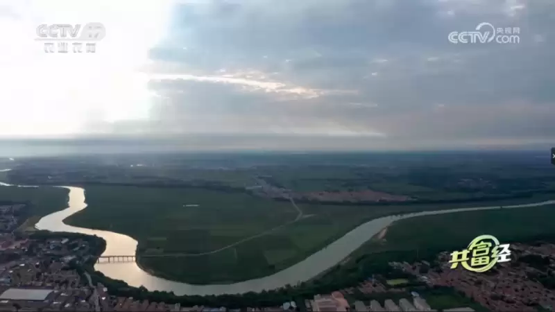 央视呈现:认养一头牛,借故城青贮玉米打造共富样本插图 央视呈现:认养一头牛,借故城青贮玉米打造共富样本插图