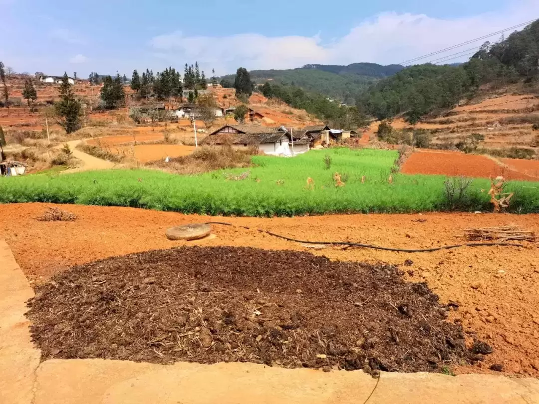 会东春播新动向：农家肥成 “香饽饽”，助力农业新发展插图