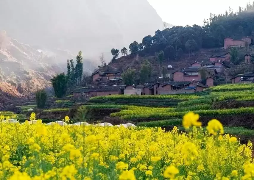 从 “靠柴生活” 到 “靠新致富”—— 马头山村的华丽转身插图2