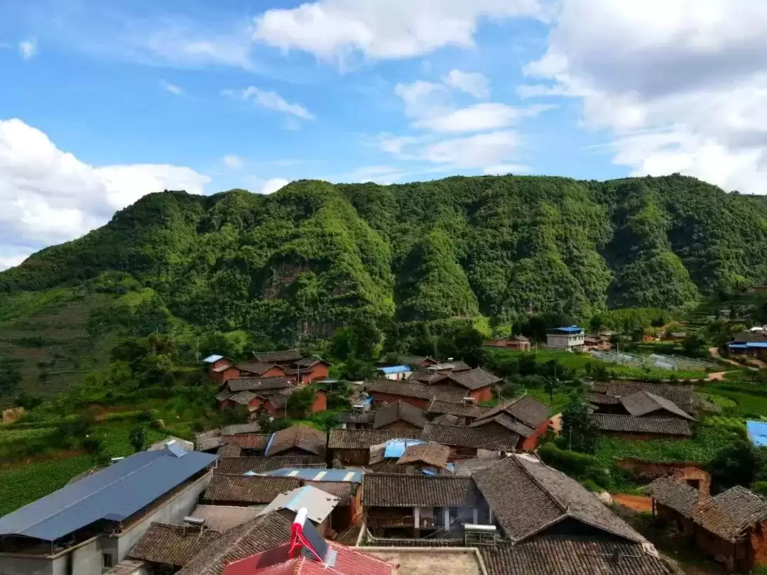 从 “靠柴生活” 到 “靠新致富”—— 马头山村的华丽转身插图