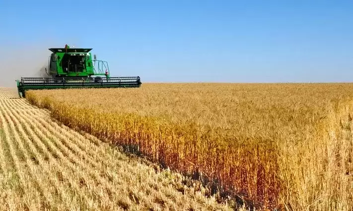 全国最好吃的 5 种面粉大盘点，有你家乡的吗？插图15