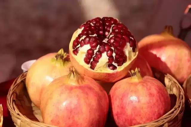 文旅部推荐！凉山 “乡村四时好风光” 旅游线路入选插图25