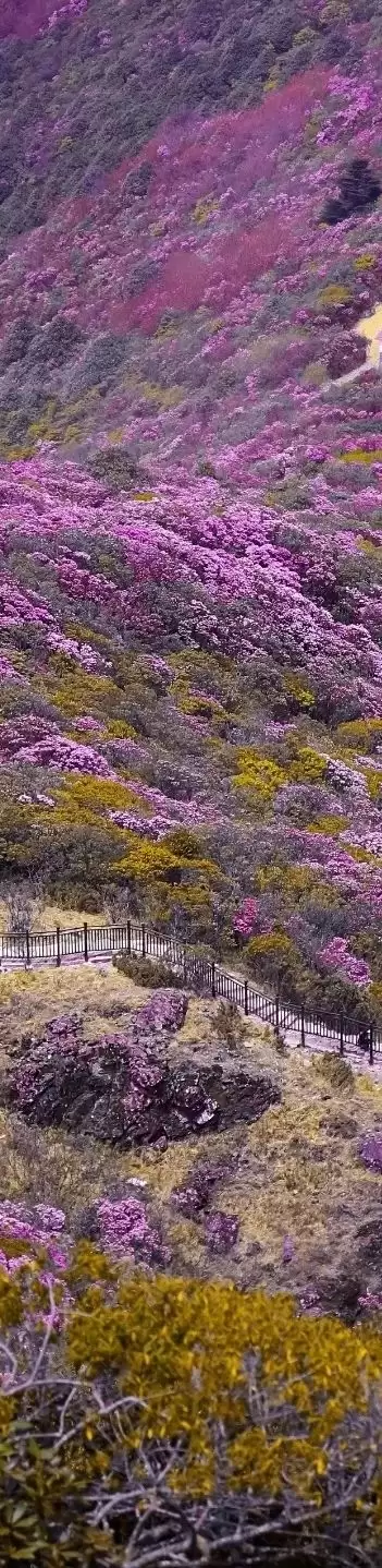 会理:千年古城韵,山川人文情,红色星火耀插图1 会理:千年古城韵,山川人文情,红色星火耀插图1