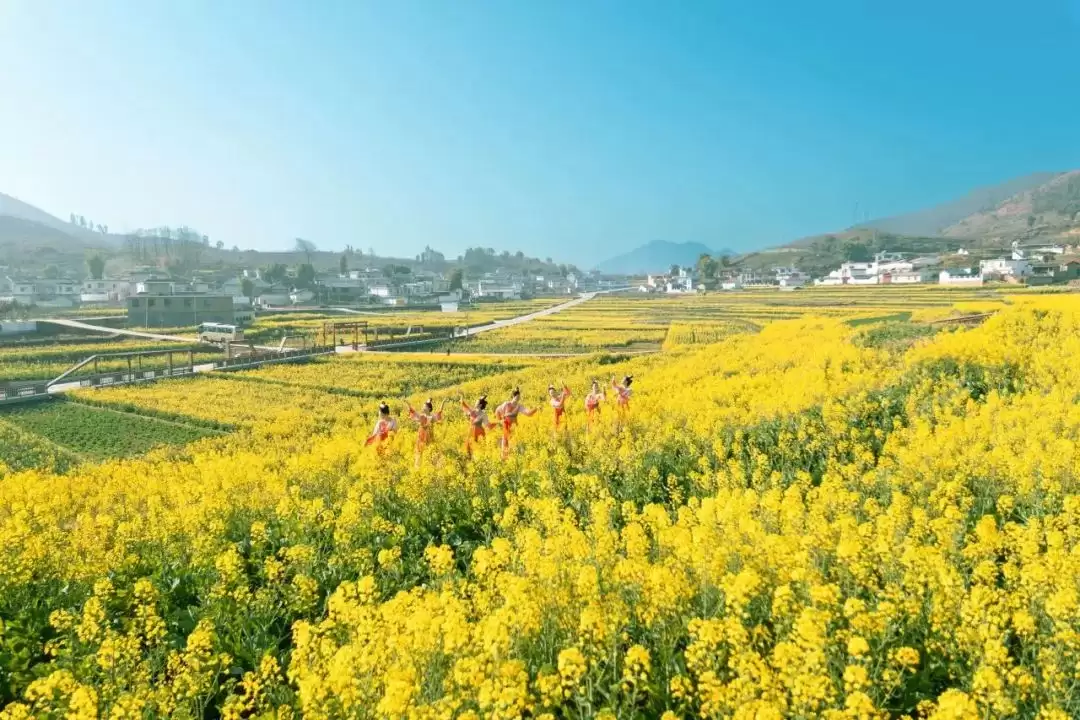 走进会理春日,邂逅缤纷花海与特色美食插图1 走进会理春日,邂逅缤纷花海与特色美食插图1