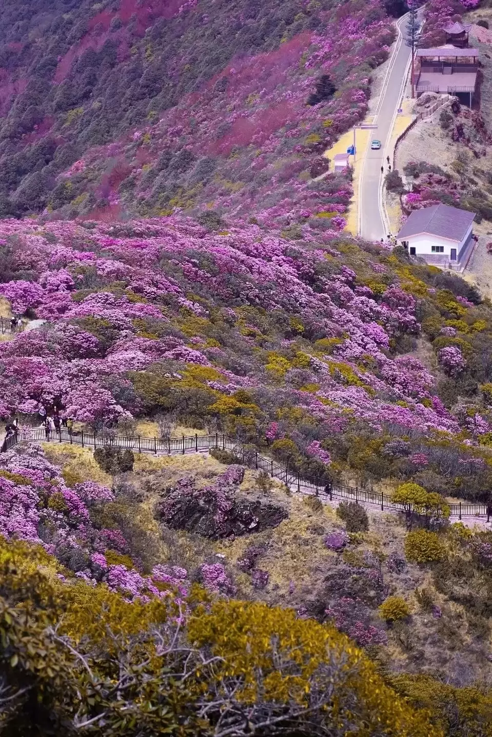 会理：千年古城韵，山川人文情，红色星火耀-会东网
