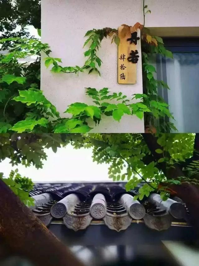 文旅部推荐！凉山 “乡村四时好风光” 旅游线路入选插图14