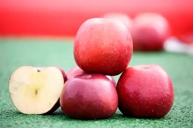 文旅部推荐！凉山 “乡村四时好风光” 旅游线路入选插图26