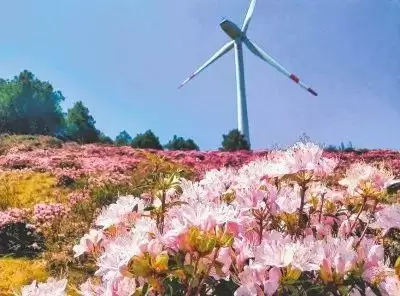 探秘川滇明珠会东:自然与人文交织的梦幻之旅插图2 探秘川滇明珠会东:自然与人文交织的梦幻之旅插图2