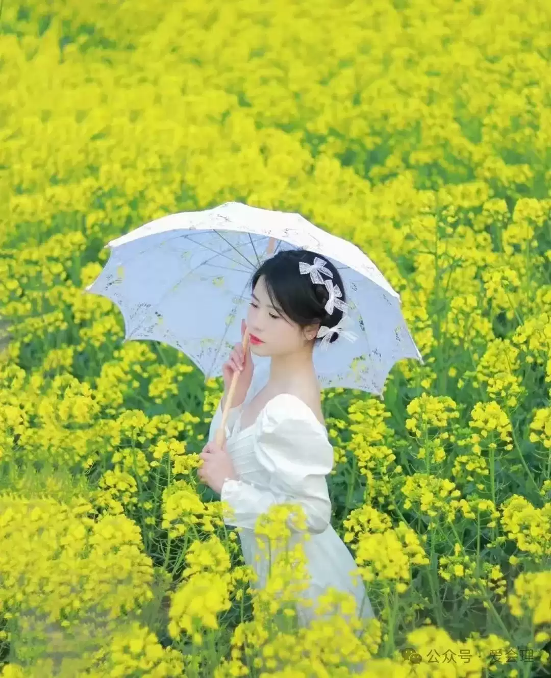 走进会理春日,邂逅缤纷花海与特色美食插图6 走进会理春日,邂逅缤纷花海与特色美食插图6