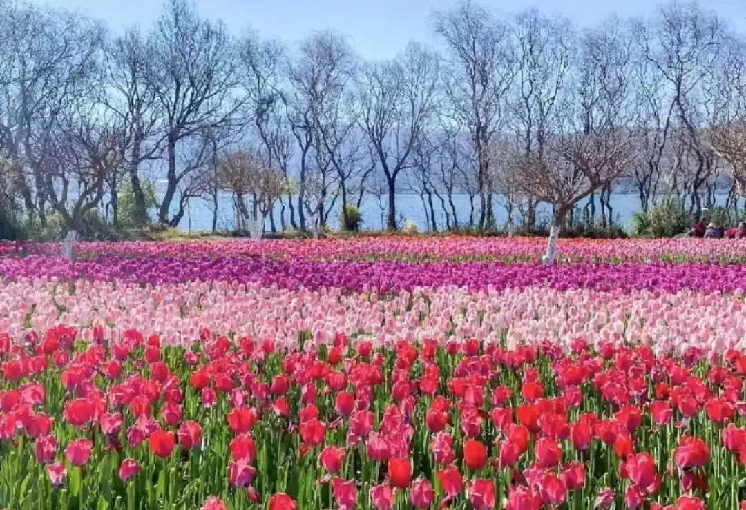 西昌:在邛海波光与泸山翠影间,邂逅一场诗意栖居插图5 西昌:在邛海波光与泸山翠影间,邂逅一场诗意栖居插图5