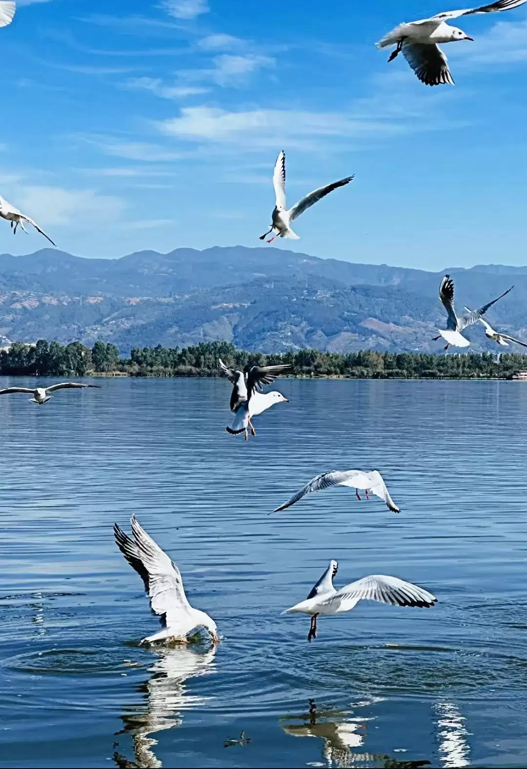 西昌:在邛海波光与泸山翠影间,邂逅一场诗意栖居插图1 西昌:在邛海波光与泸山翠影间,邂逅一场诗意栖居插图1