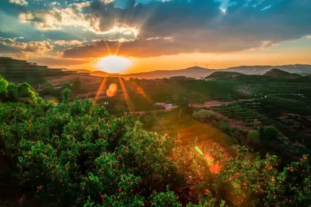 走进会理春日,邂逅缤纷花海与特色美食插图18 走进会理春日,邂逅缤纷花海与特色美食插图18