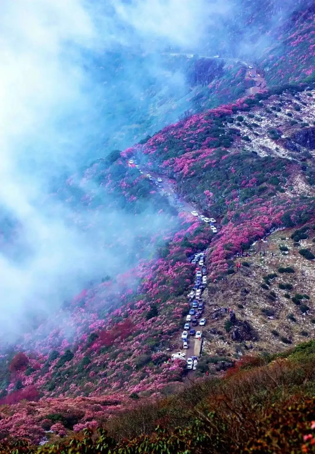 走进会理春日,邂逅缤纷花海与特色美食插图14 走进会理春日,邂逅缤纷花海与特色美食插图14