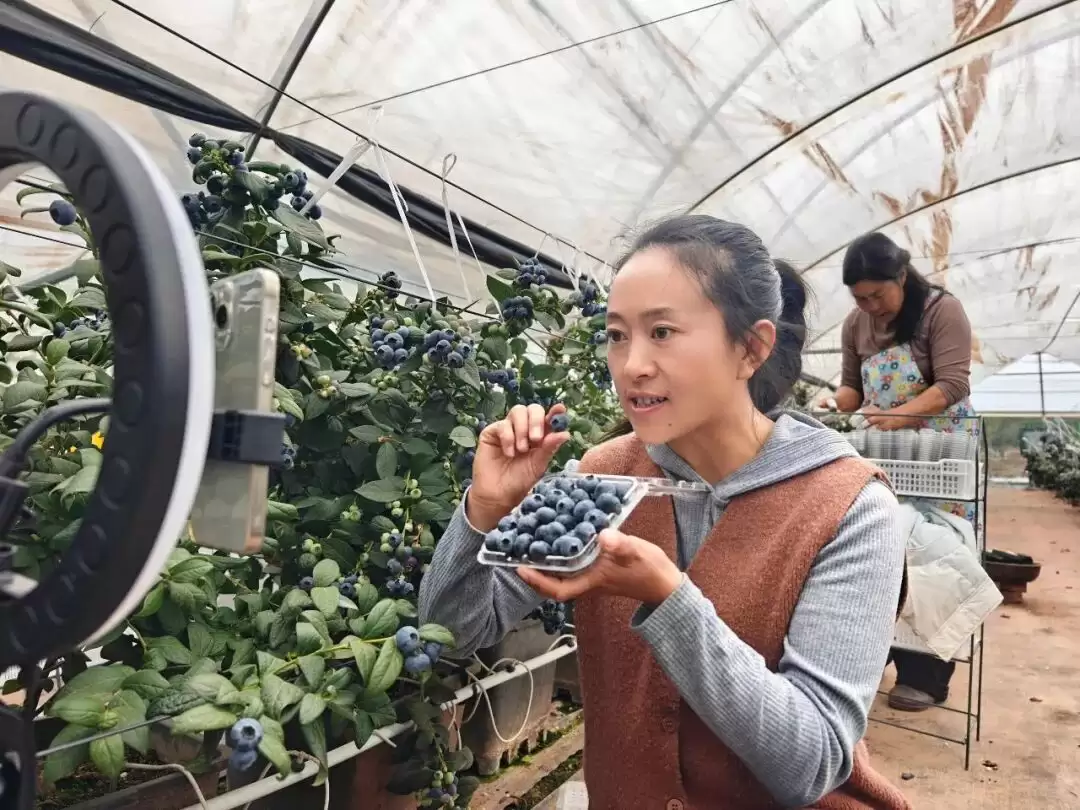 – 川滇明珠焕新颜 会东以消费激活民生发展新动能插图4