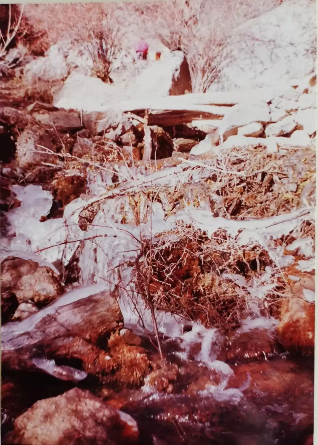 金沙江上的悲壮回响 副:一位长漂记者的寻踪与泣书插图5 金沙江上的悲壮回响 副:一位长漂记者的寻踪与泣书插图5