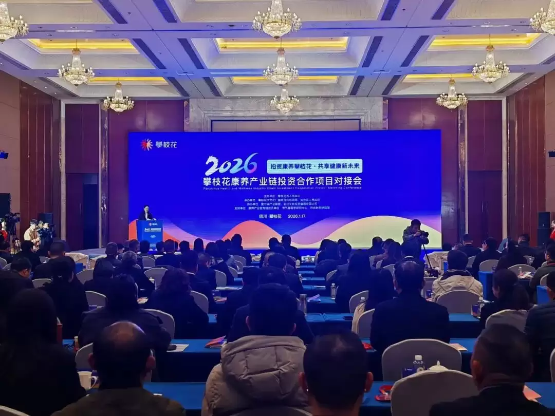 会东网消息:攀枝花康养产业链投资合作对接会,15 个签约项目怎样构建产业生态圈?插图 会东网消息:攀枝花康养产业链投资合作对接会,15 个签约项目怎样构建产业生态圈?插图