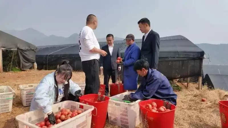 攀枝花金融监管分局：支持小微企业融资协调机制如何让贷款 “加速度”，促增收致富？插图2